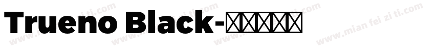 Trueno Black字体转换